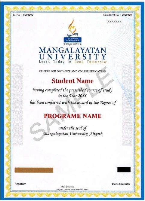 University Certificate